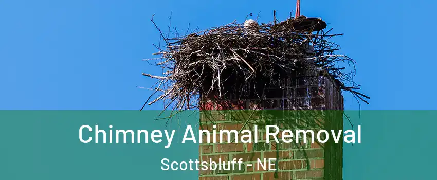  Chimney Animal Removal Scottsbluff - NE