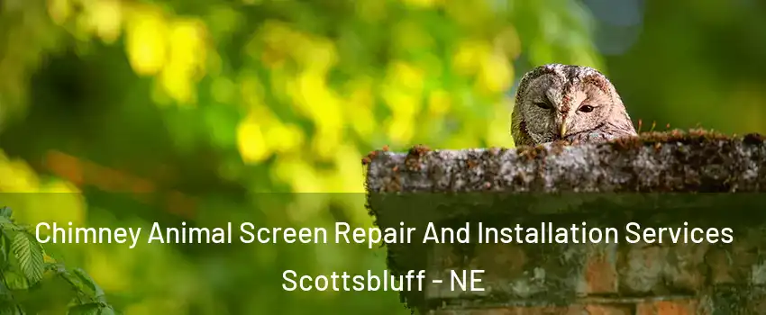  Chimney Animal Screen Repair And Installation Services Scottsbluff - NE