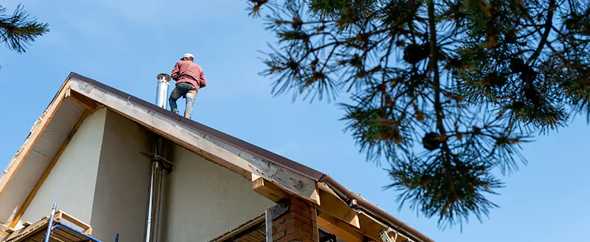 Birds Removal Contractors from Chimney in Scottsbluff, NE