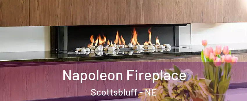  Napoleon Fireplace Scottsbluff - NE