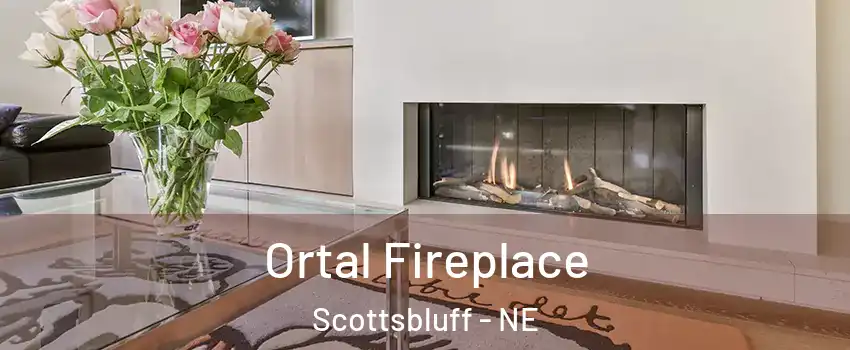  Ortal Fireplace Scottsbluff - NE
